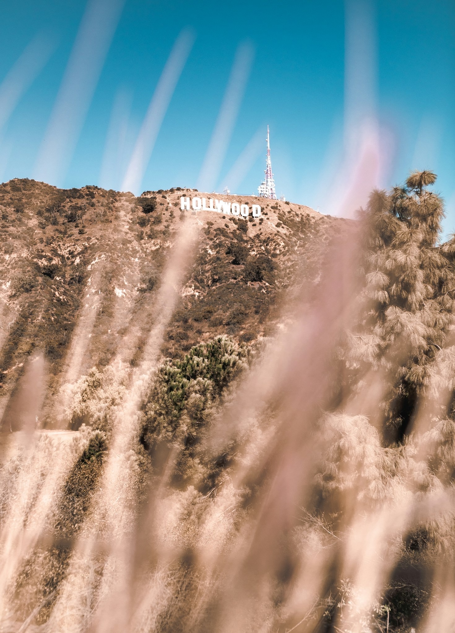 Breaking Down the Latest Music Releases