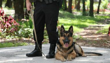 guard-dog-police