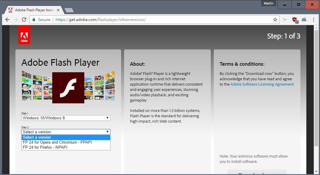 Update Adobe Flash Player