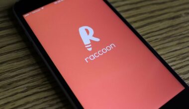 Windows 10 for Raccoon app
