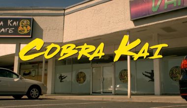Cobra Kai Season 4 Episode 1 Release Date