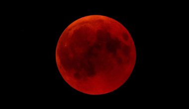 What Time is the Lunar Eclipse Tonight? Pacific, EST, CST, California, UK, Newyork, India, South Africa 19 November 2021