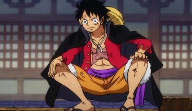 One Piece Episode 1009 Release Date