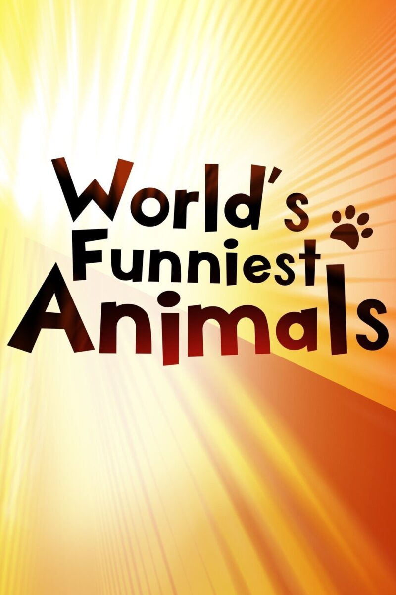World's Funniest Animals Season 2 Episode 16 Release Date