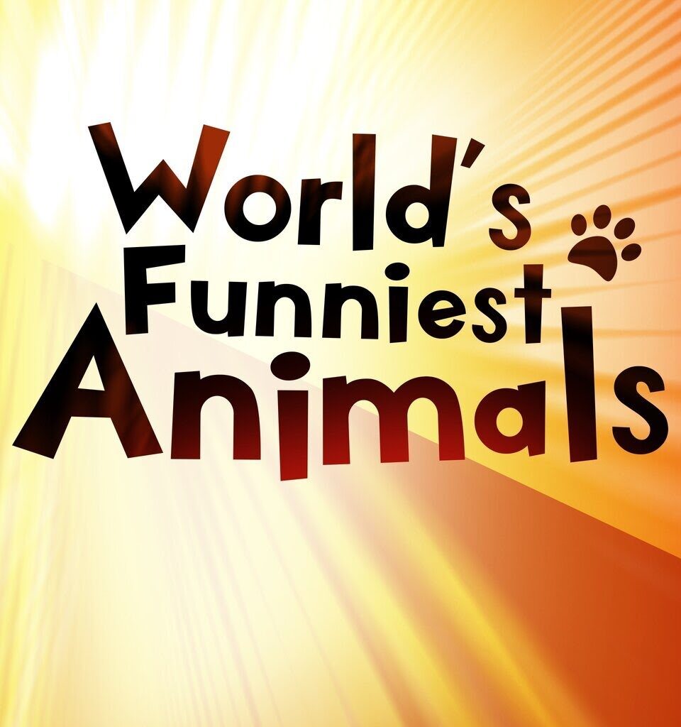 World's Funniest Animals Season 2 Episode 16 Release Date