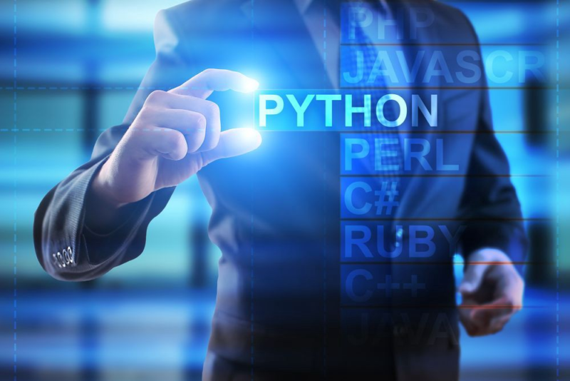 Python in Software Development