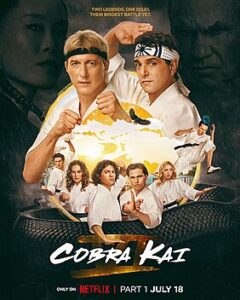 Cobra Kai Season 6 Release Date: What’s Next for the Dojos?