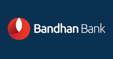 Bandhan Bank Share Price Target January 2025